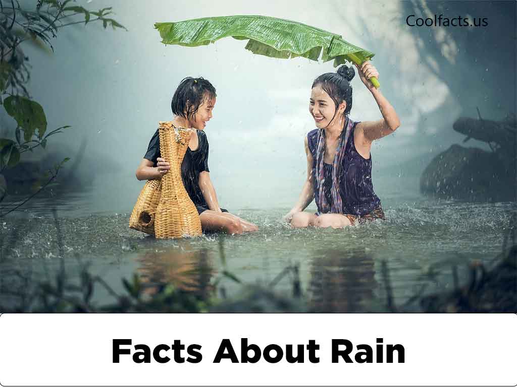Facts About Rain