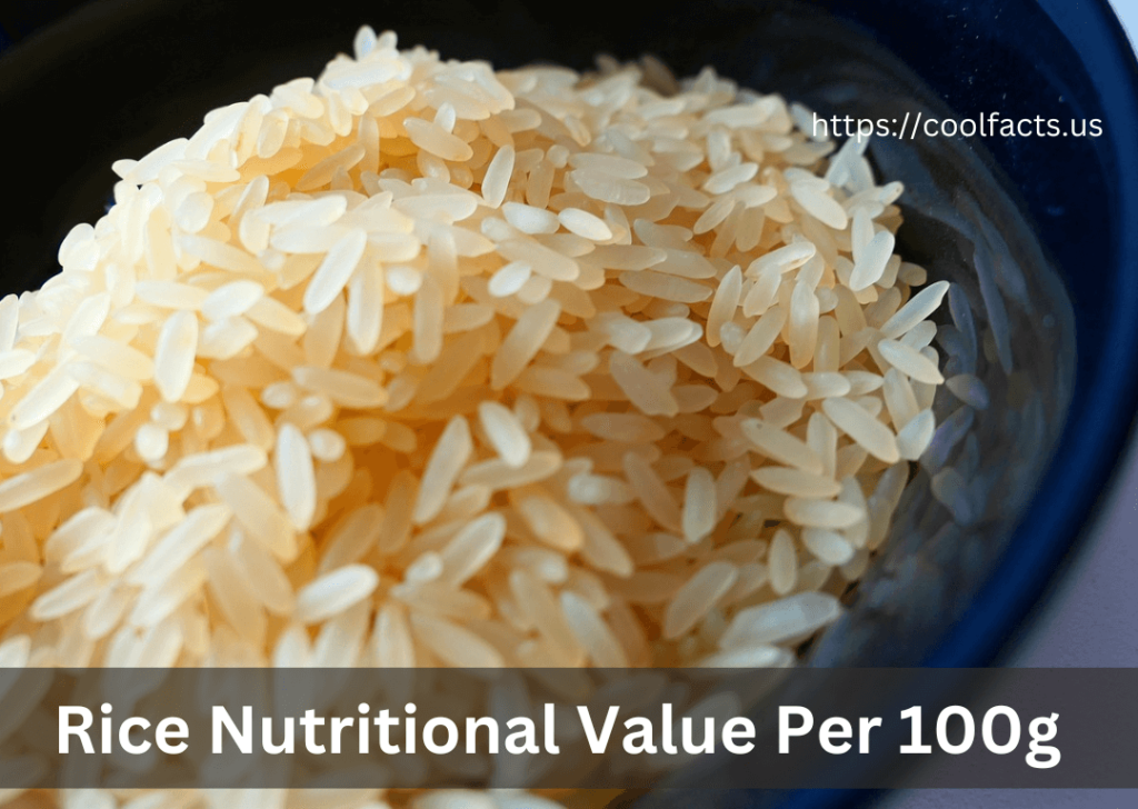 rice nutritional value per 100g