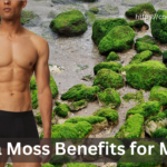 sea moss benefits for men